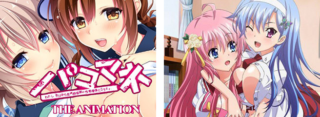 HanimeZのイメージ
