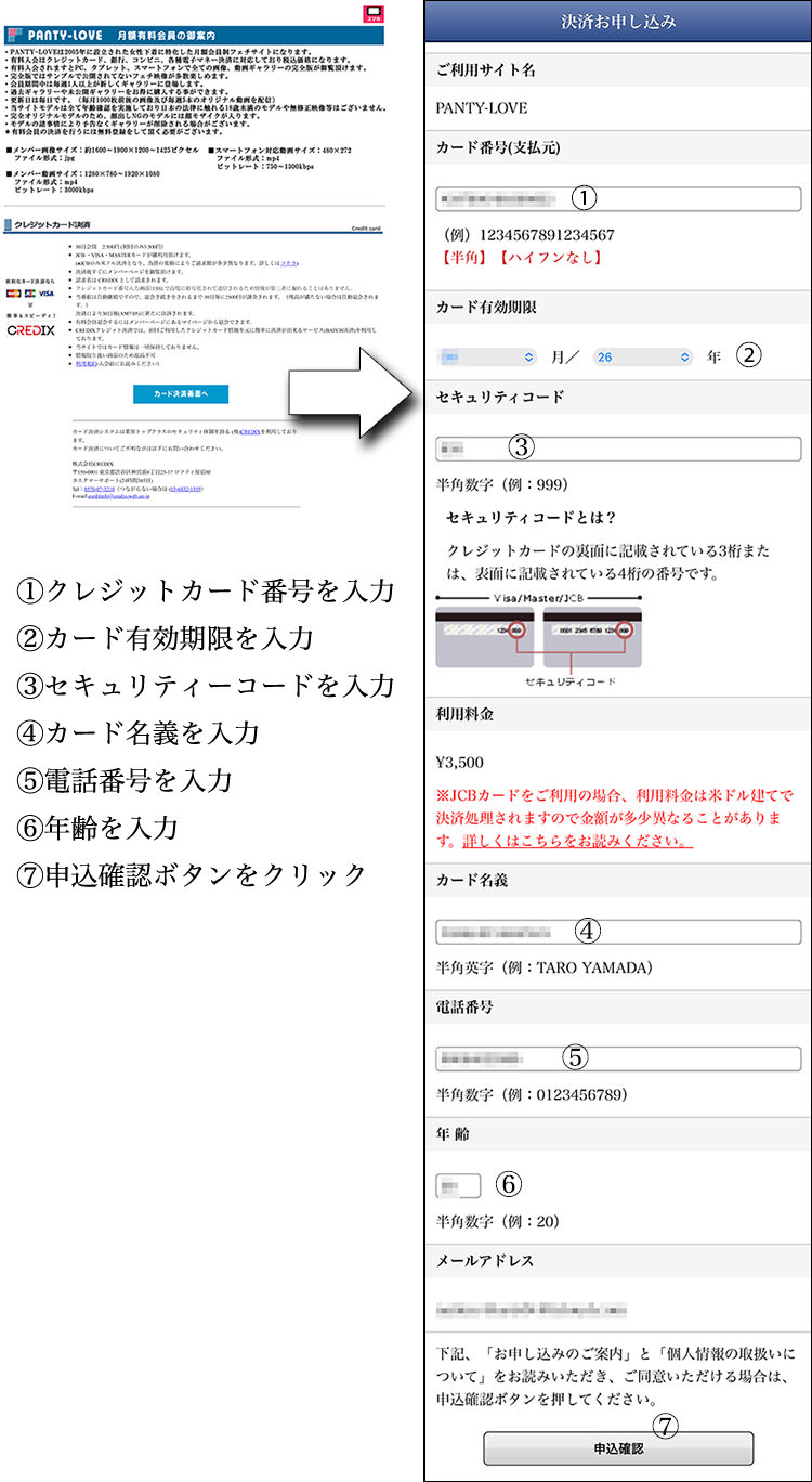 パンティラブでクレジットカード情報を入力する。