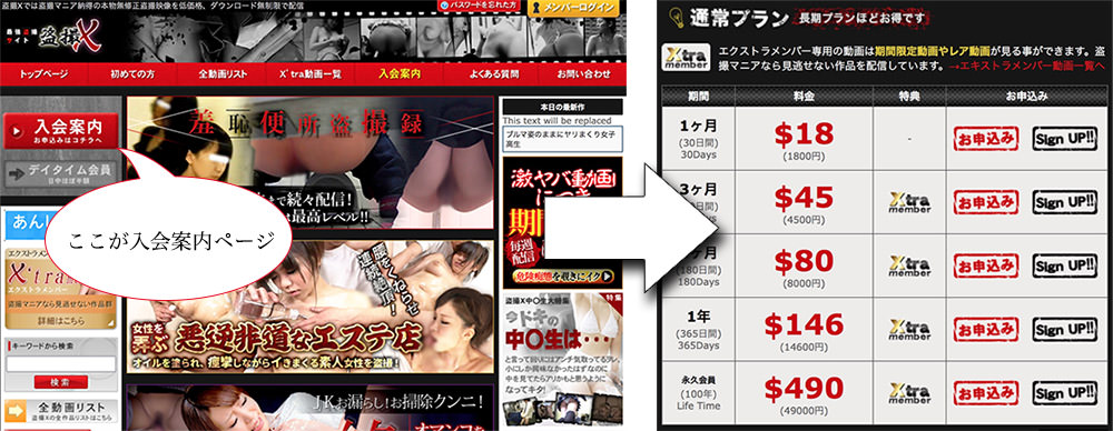 盗撮エックスの入会の流れを図解します。
